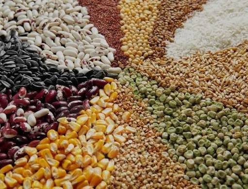 Commercial Seeds