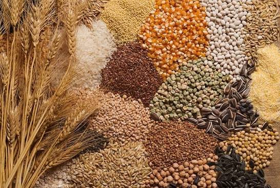 Farm Seeds