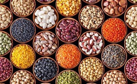 Hybrid Seeds