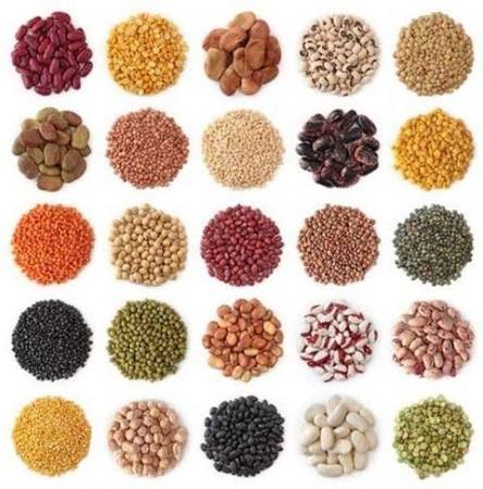 Vegetable Seeds