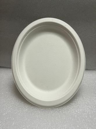 Sugarcane Pulp Plates