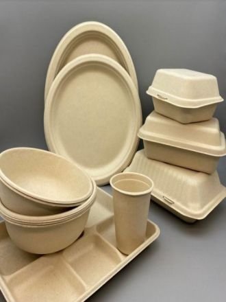 Compostable Tableware