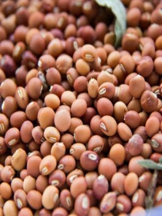Toor Dal