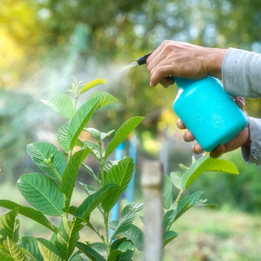 Bio-Insecticides
