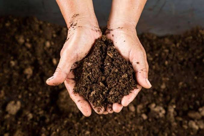 Organic Manure