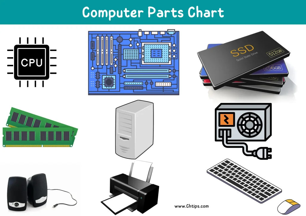 Computer Hardware and Software