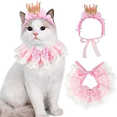 Animal Clothing and Accessories