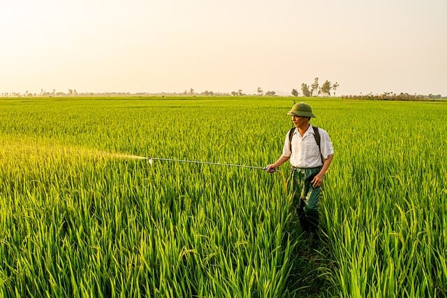  Pesticides and Insecticides